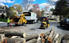 Best Tree Health Inspection  in Wathena, KS